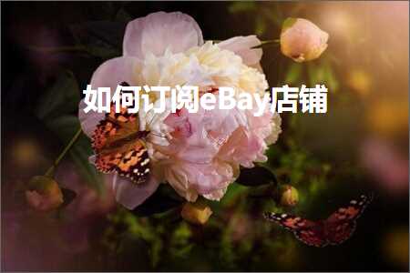 璺ㄥ鐢靛晢鐭ヨ瘑:濡備綍璁㈤槄eBay搴楅摵