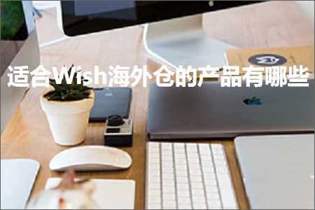 跨境电商知识:适合Wish海外仓的产品有哪些