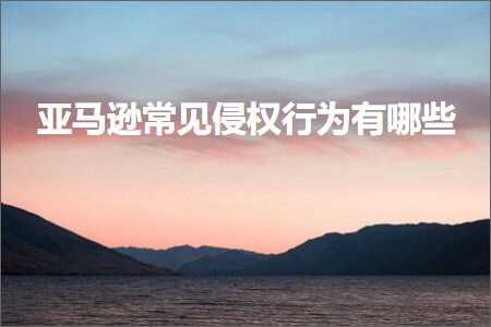 璺ㄥ鐢靛晢鐭ヨ瘑:浜氶┈閫婂父瑙佷镜鏉冭涓烘湁鍝簺