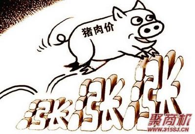 创业项目：猪肉狂涨价!不涨没利润!我到底该咋办?