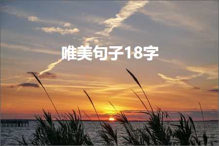 唯美句子18字（文案272条）