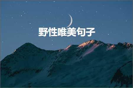 鐭殏鐨勭浉閬囦笌绂诲埆鐨勫敮缇庡彞瀛愶紙鏂囨402鏉★級